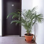 Hotel Enchevi 2*